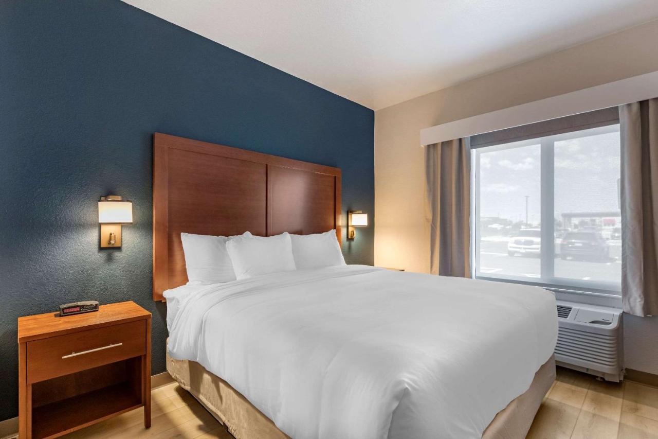 Strasburg Comfort Inn & Suites Bennett מראה חיצוני תמונה